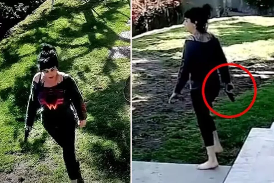 Incident Involving Author Jillian Lauren and LAPD