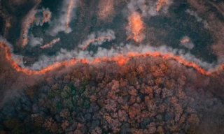 Innovative Wildfire Insurance Initiative by Willis and The Nature Conservancy