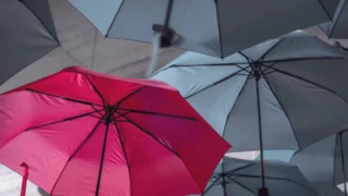 Japan Post Insurance ile SCOR hayat sigortası riskleri için ortak yatırım aracı kuracak