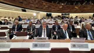 Memişoğlu, Cenevre’de Sağlık Alanındaki İşbirliklerini Güçlendiriyor