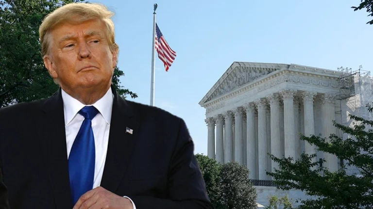 Legal Challenges and the Federal Court System