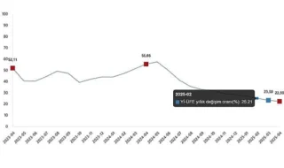 Nisan 2025 Yurt İçi Üretici Fiyat Endeksi Raporu