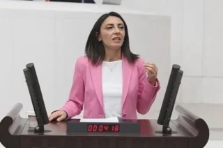Nurhayat Altaca Kayışoğlu’nun hukuk, siyaset ve TBMM görevleri