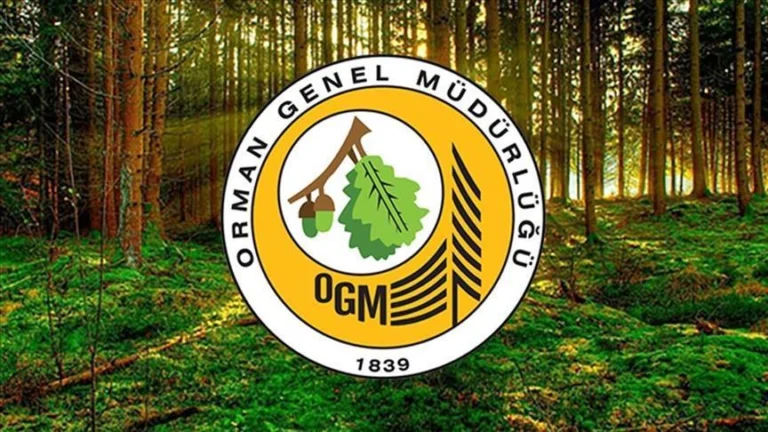 OGM 3.744 Personel Alımı Başvuru Sonuçları Ne Zaman Açıklanacak?