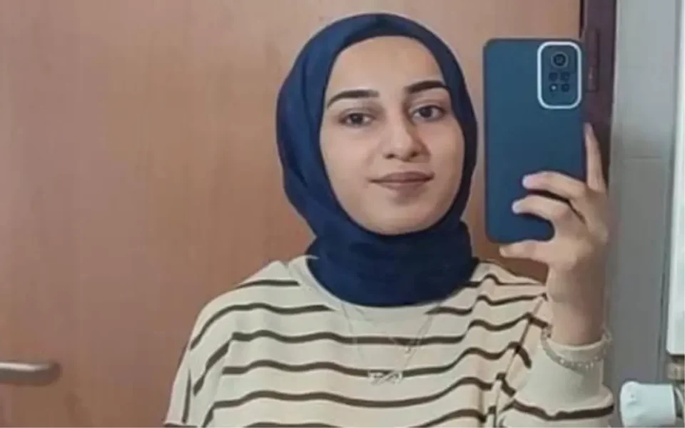 Rojin Kabaiş kimdir, aslen nereli?