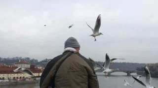 Rüyada Amca Oğlunu Görmek: Anlamları ve Yorumları