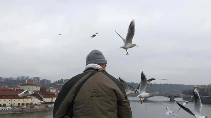 Rüyada Amca Oğlunu Görmek: Anlamları ve Yorumları
