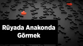Rüyada Anakonda Görmek: Anlamı ve Yorumları