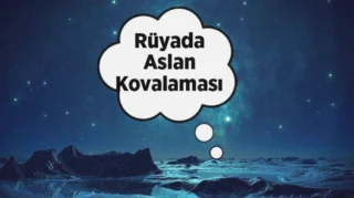 Rüyada Aslan Kovalaması ve Büyük Aslanlar Tarafından Kovalanmanın Anlamı