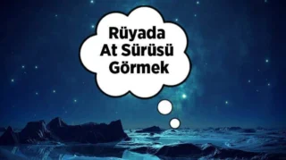 Rüyada At Görmek: Anlam ve Yorumlar