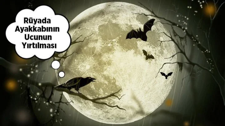 Rüyada Yırtık Ayakkabı Görmek Ne Anlama Gelir?