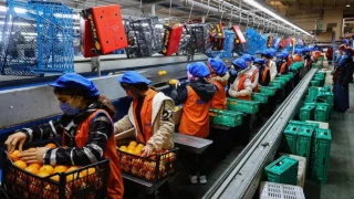 Şubat 2026 İSO Türkiye İmalat PMI Sonuçları Açıklandı