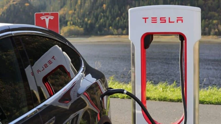 Tesla Shares Plunge Amid Tensions Between Elon Musk and Donald Trump