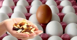 The Nutritional Powerhouse: Nuts That Keep You Satiated