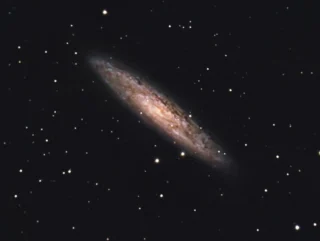 The Vibrant Tapestry of NGC 253: A Cosmic Mosaic