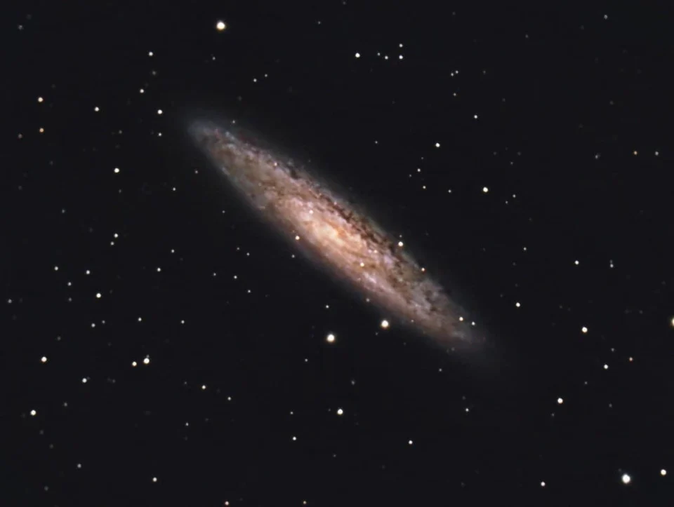 The Vibrant Tapestry of NGC 253: A Cosmic Mosaic